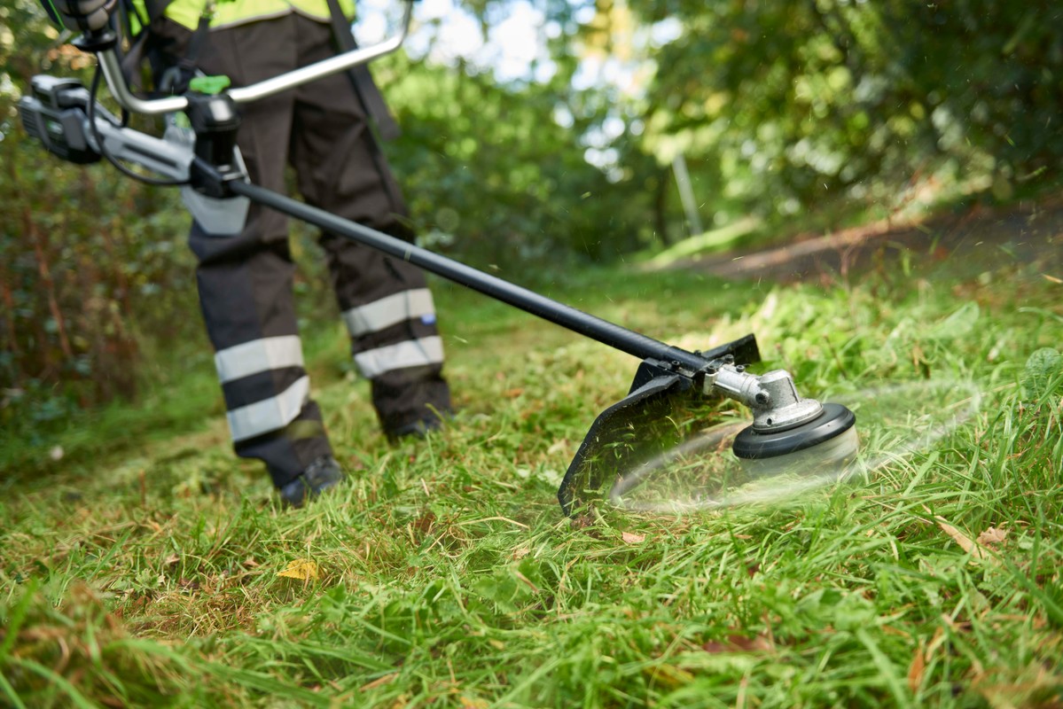 Acheter des tondeuses de jardin en Israël sur le babillard