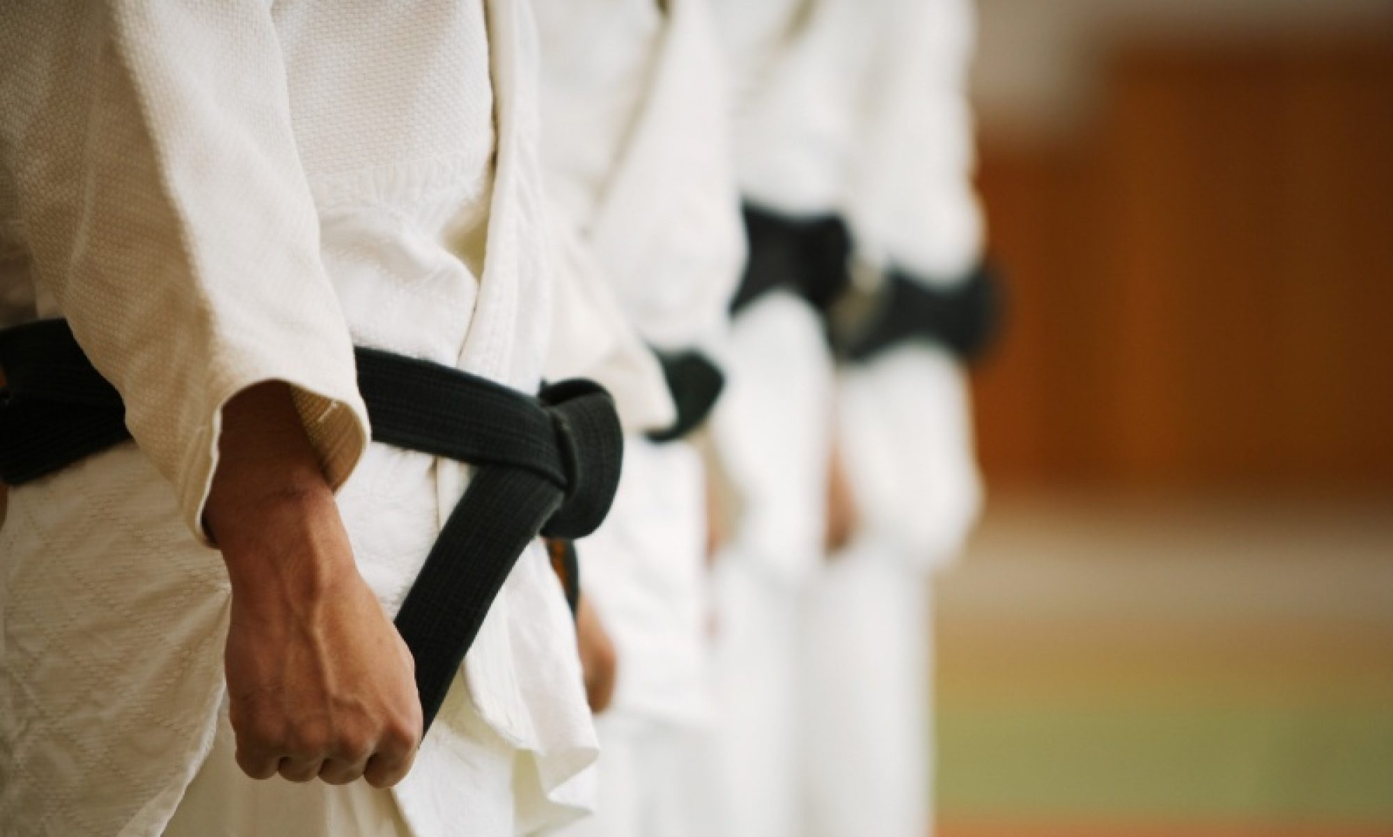 Éducation et formation aux arts martiaux en Israël
