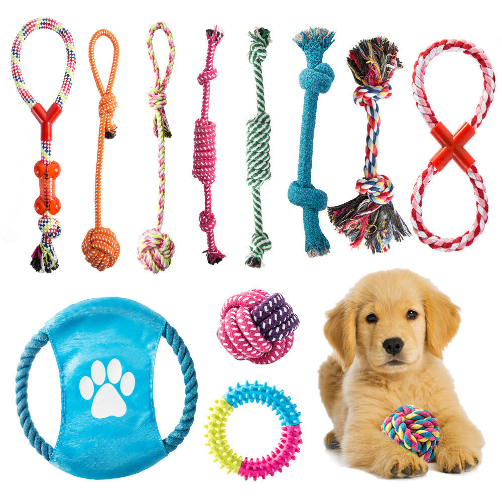Purchasing Dog Toys in Israel: Keeping Your Canine Companion Entertained