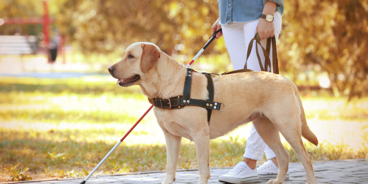 גזעי כלבים לבעלי צרכים מיוחדים: כלבי שירות וכלבי טיפול