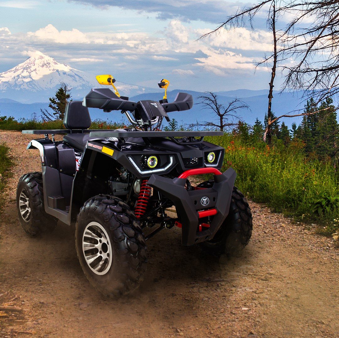 Customizing Your Quad Bike: Tips for Personalizing Your Ride