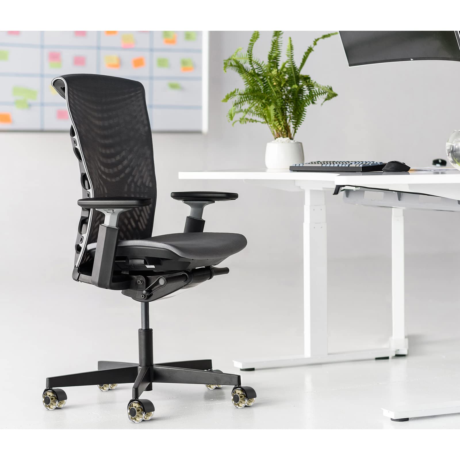 Buying and renting office chairs in Israel