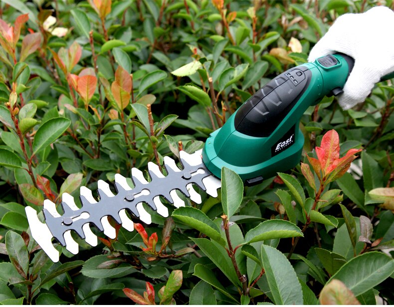 Buy a hedge trimmer on a bulletin board in Israel