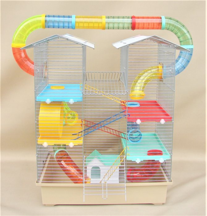 Purchasing Hamster Tubes in Israel: Creating an Engaging Habitat for Your Rodent