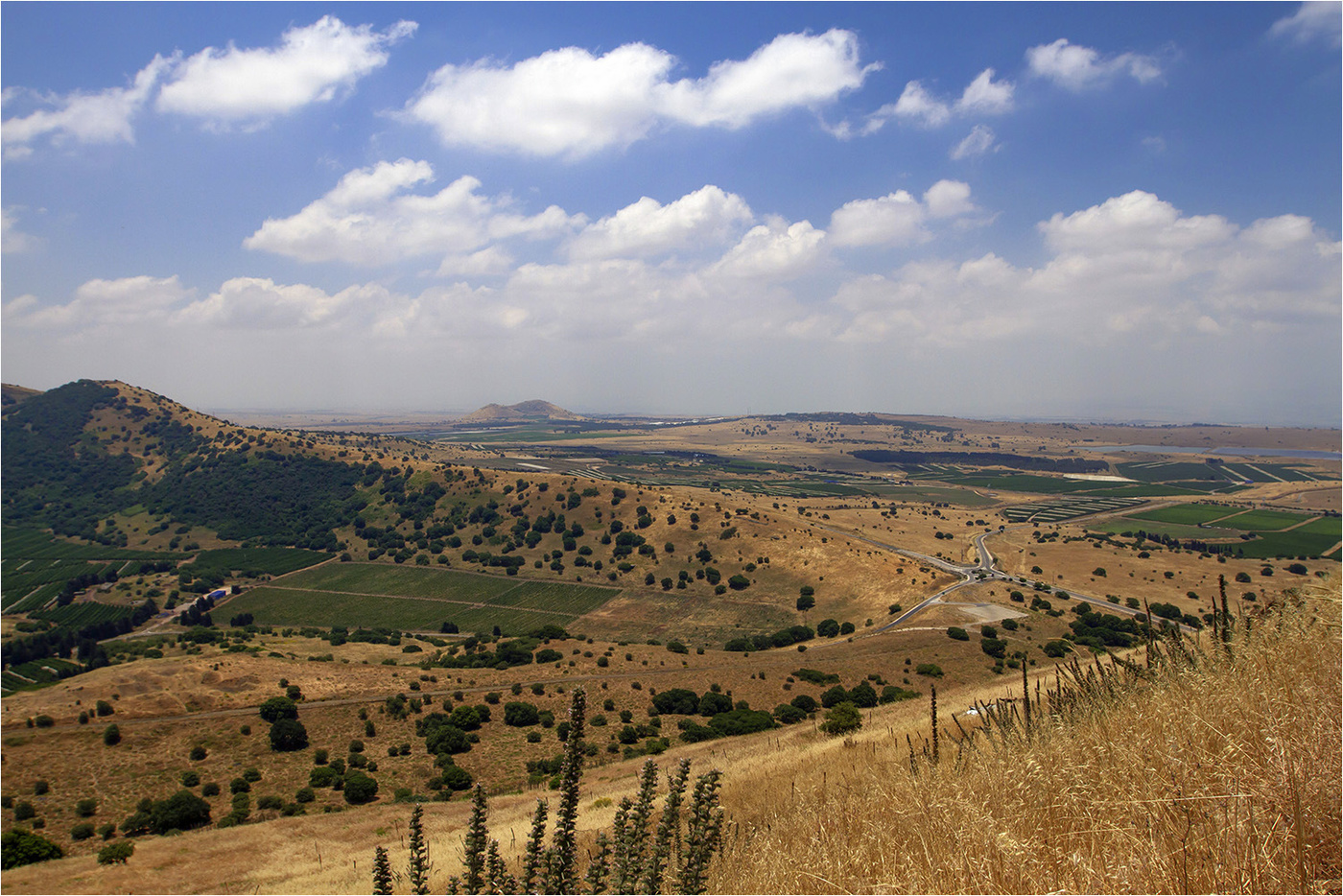 Country Vacation: Find a quiet land for sale in the Golan Heights.