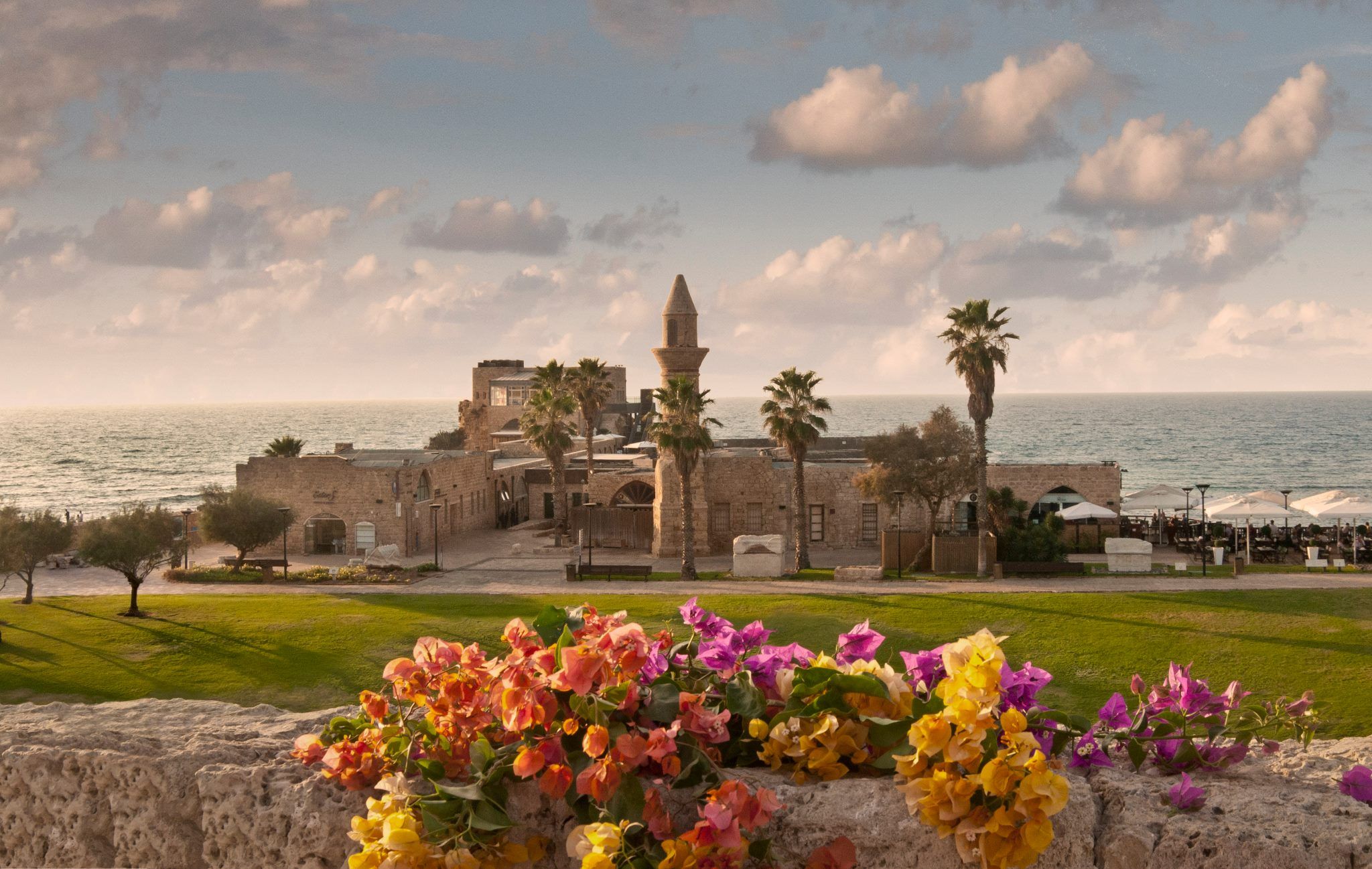 Mediterranean Magic: choose a land for sale in the heart of Caesarea.
