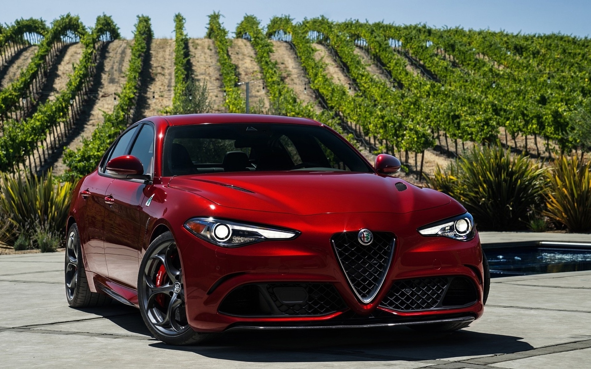 Découvrez la passion italienne : Achetez Alfa Romeo en Israël