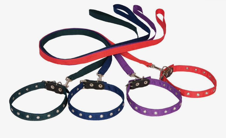 Purchasing Dog Leashes in Israel: Essential Gear for Walking Your Pup