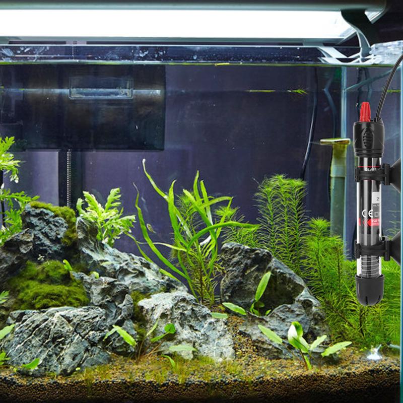 Where to buy heaters for aquariums in Israel