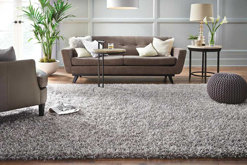The best carpets and carpeting in Israel: how to choose a suitable option for your home?