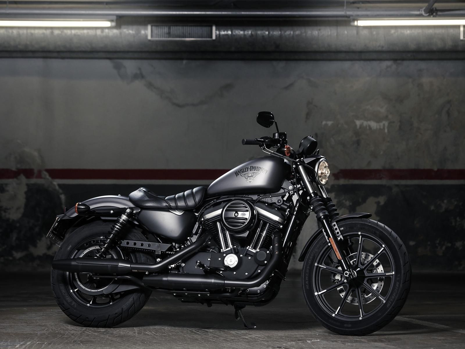 Harley-Davidson Iron 883 : un style classique au cœur de Jérusalem