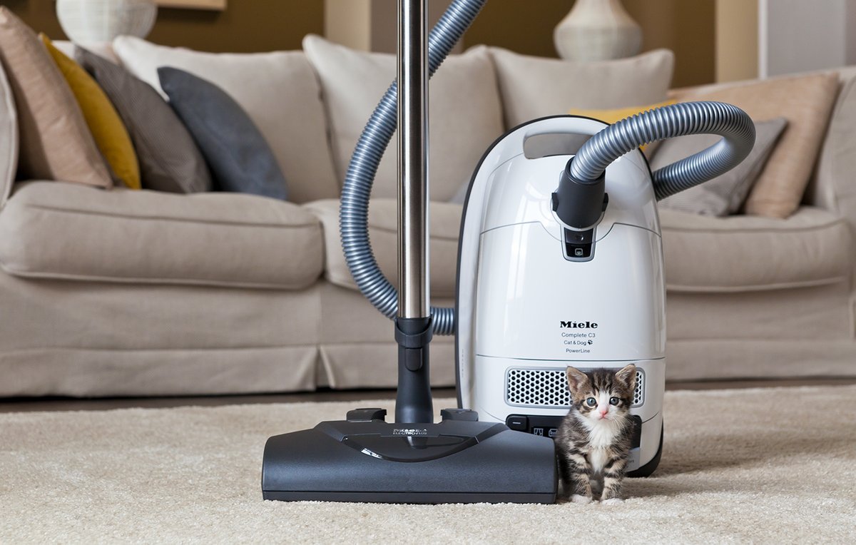 Soulagement des allergies : combattez la poussière et les allergènes avec l'aspirateur Miele Complete C3 Cat & Dog