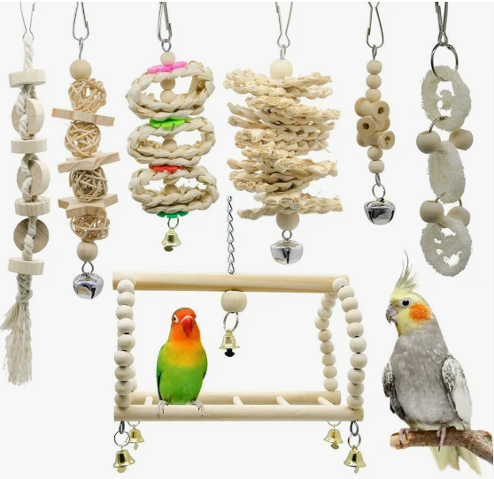 Where to Buy Bird Toys in Israel: Stimulating Entertainment for Your Feathered Companion