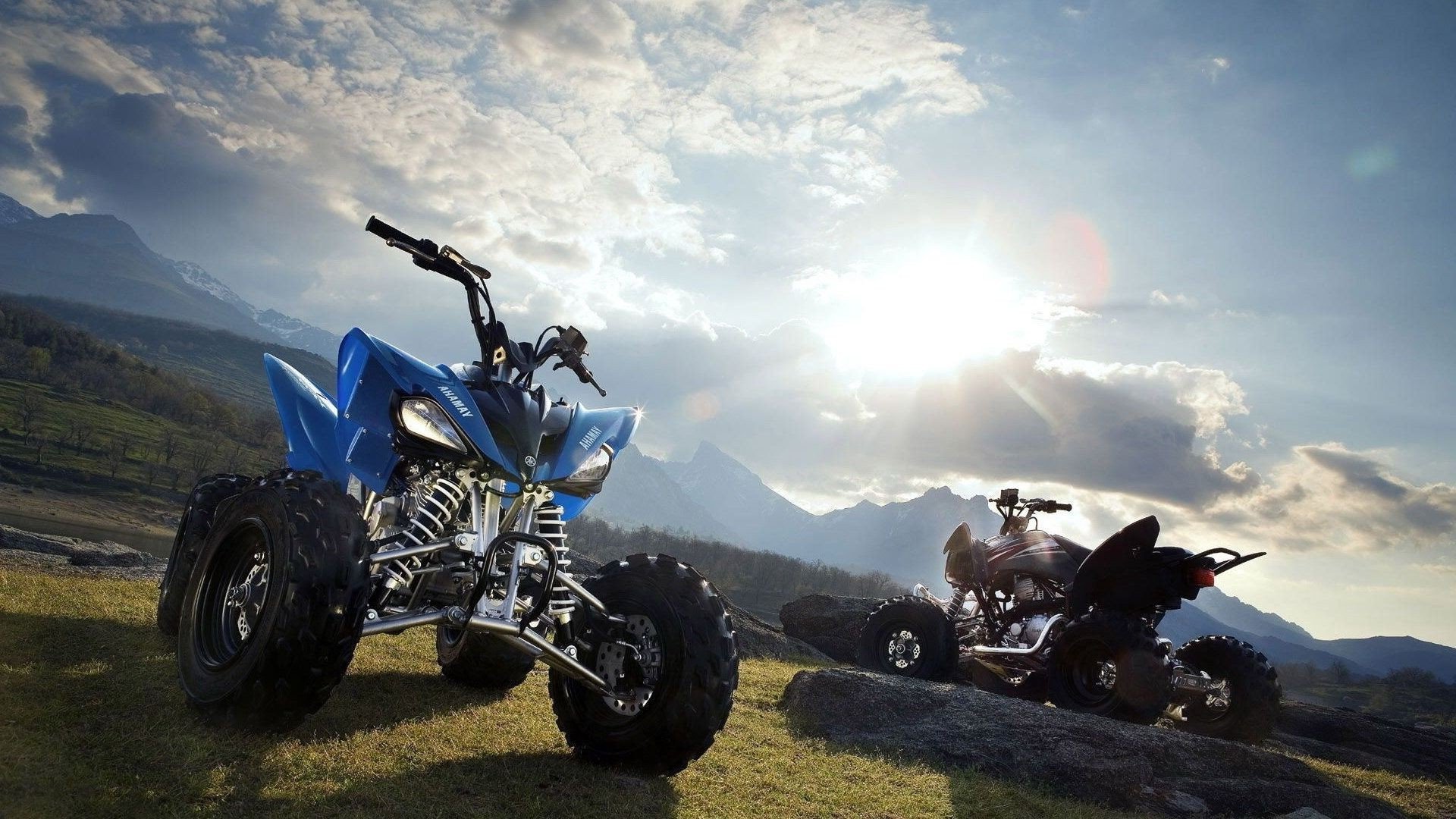 Navigating the Bulletin Board: Tips for Buying Quad Bikes in Israel