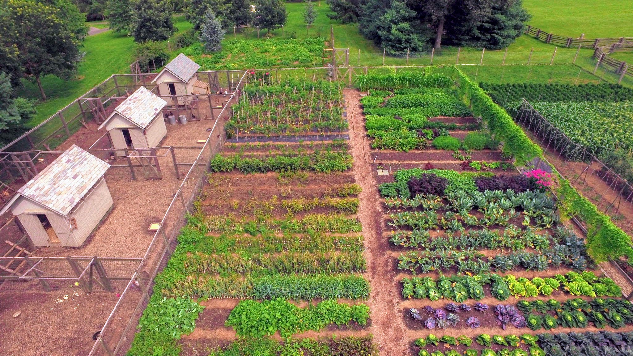 Libérer le potentiel agricole : choisir et acheter une ferme ou un chalet avec un sol approprié pour faire pousser des cultures en Israël