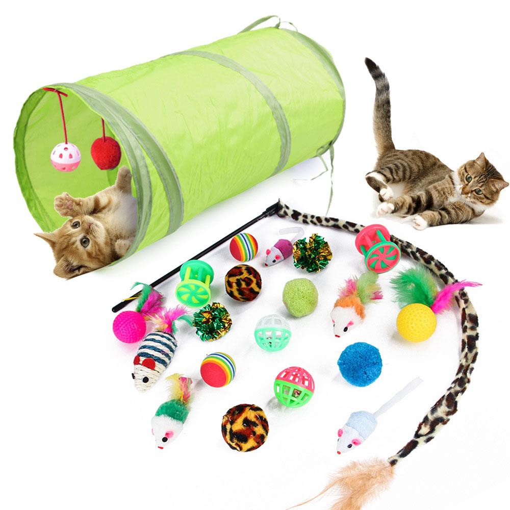 Purchasing Cat Toys in Israel: Keeping Your Feline Friend Active and Happy