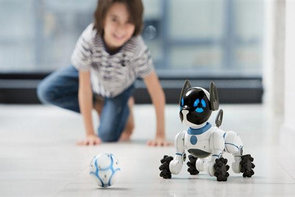 Купить детских игрушечных роботов и STEAM-игрушки можно на доске объявлений в Израиле.
