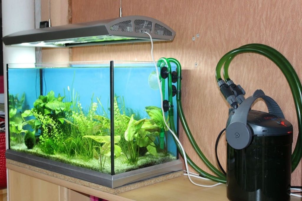 Купить аквариумные фильтры в Нетании: содержать аквариум в чистоте.