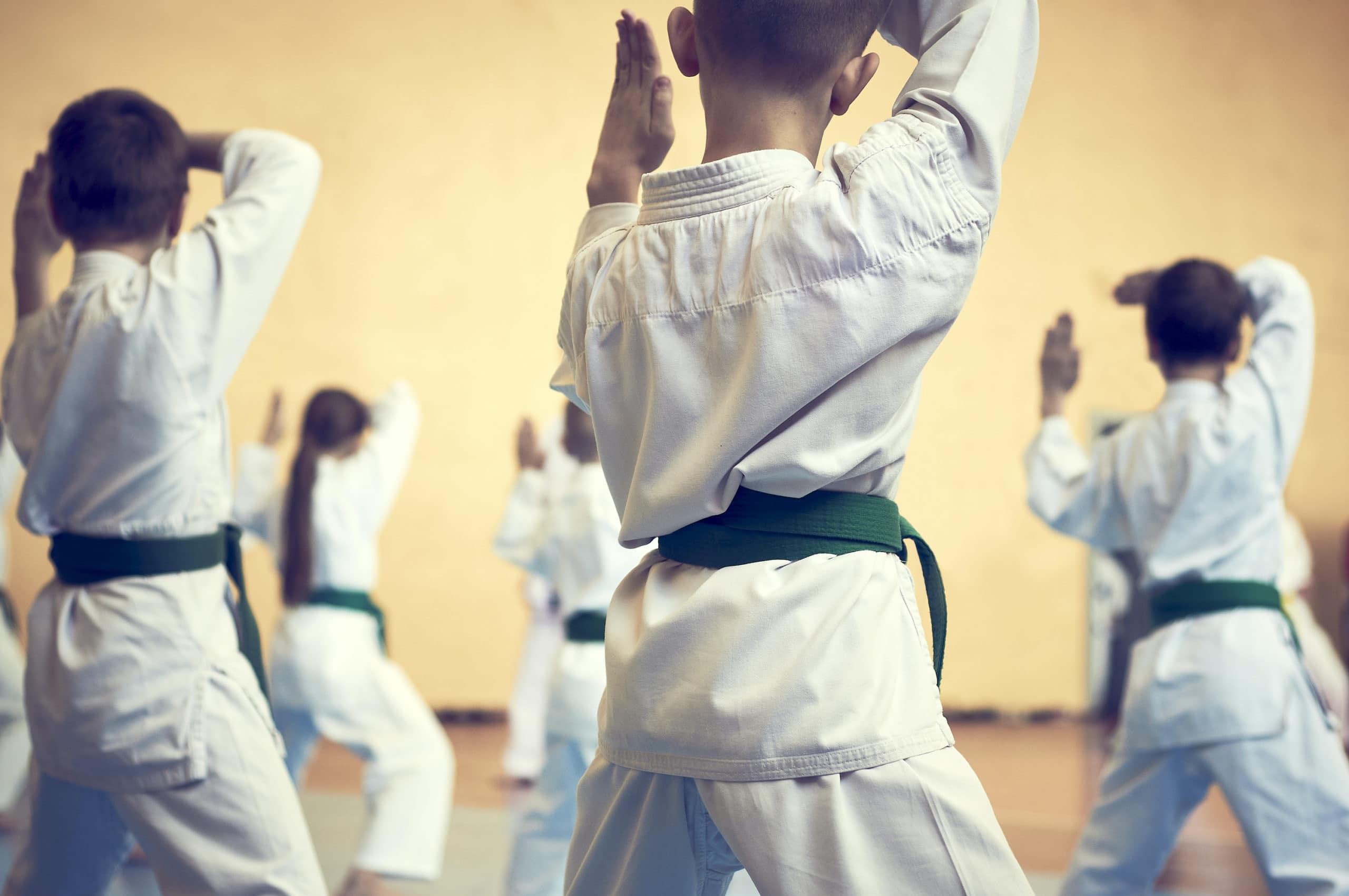 Formation d'autodéfense et d'arts martiaux en Israël